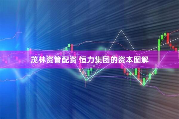茂林资管配资 恒力集团的资本图解