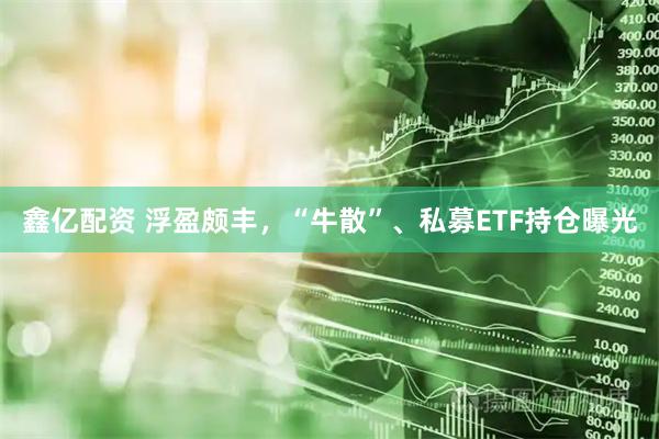 鑫亿配资 浮盈颇丰，“牛散”、私募ETF持仓曝光