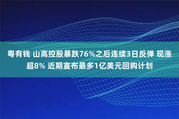 粤有钱 山高控股暴跌76%之后连续3日反弹 现涨超8% 近期宣布最多1亿美元回购计划