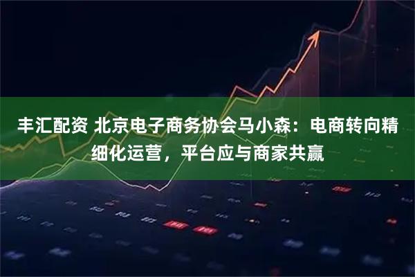 丰汇配资 北京电子商务协会马小森：电商转向精细化运营，平台应与商家共赢