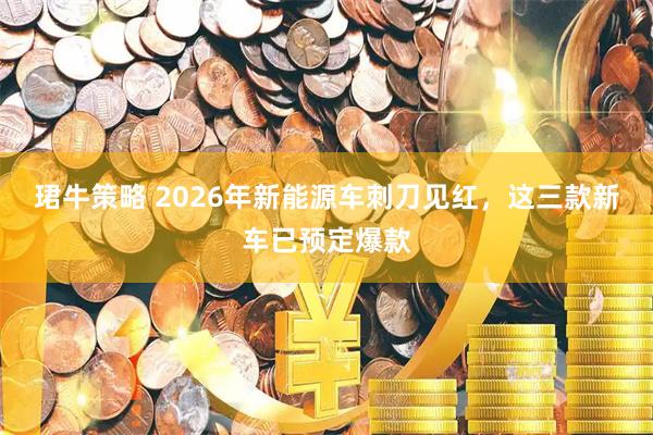 珺牛策略 2026年新能源车刺刀见红，这三款新车已预定爆款